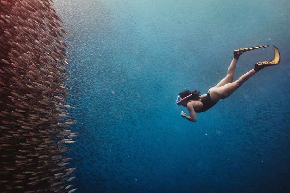 Free Diving